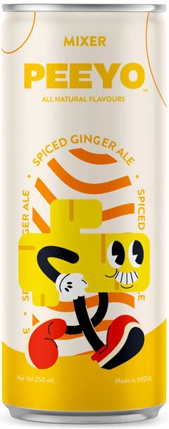 Spiced Ginger Ale