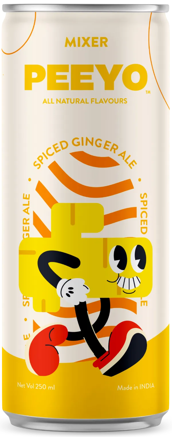 Spiced Ginger Ale